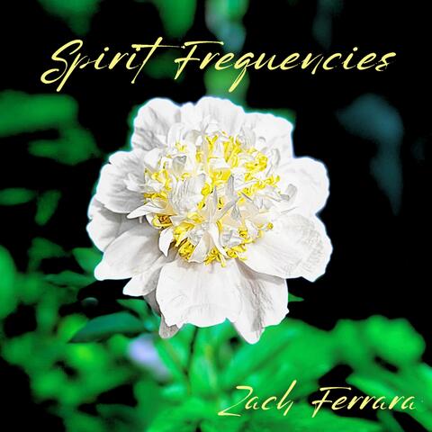 Spirit Frequencies album art