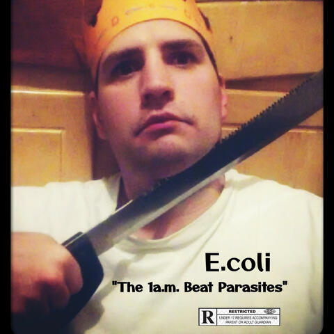 The 1a.m. Beat Parasites album art