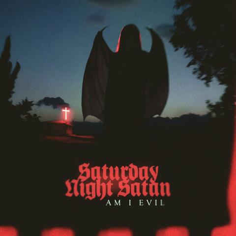 Am I Evil album art