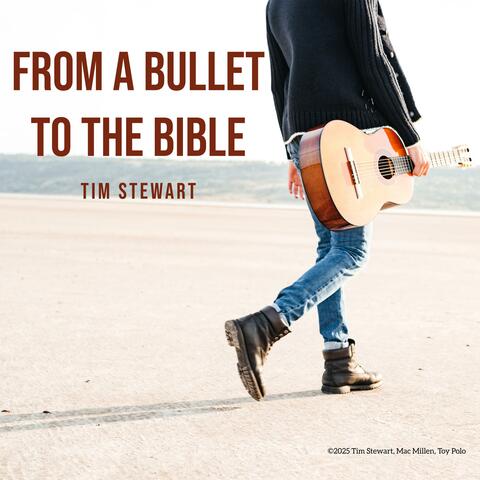 From A Bullet To The Bible album art