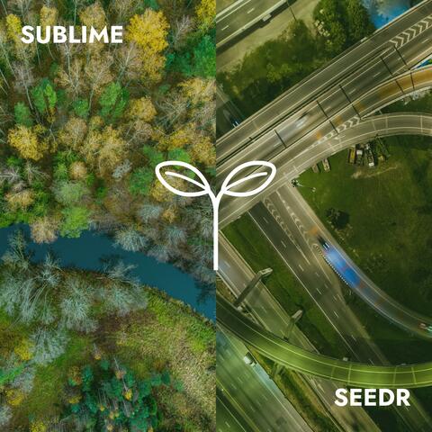 Sublime album art