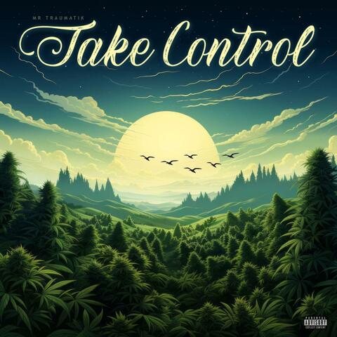 Take control album art