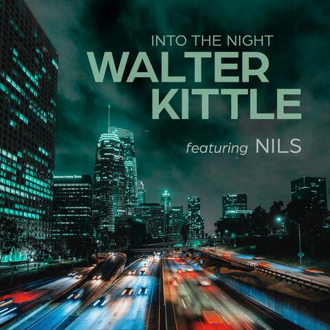 INTO THE NIGHT (feat. NILS) album art