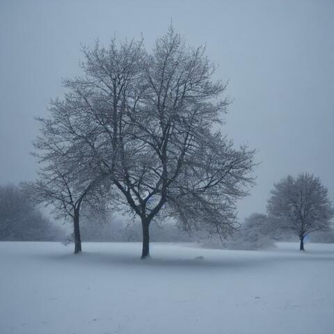 The Winter Wind album art