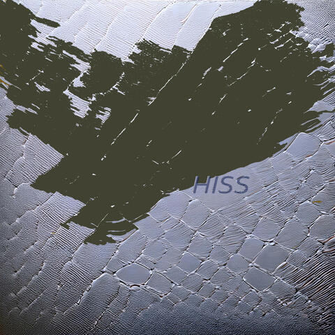 Hiss album art
