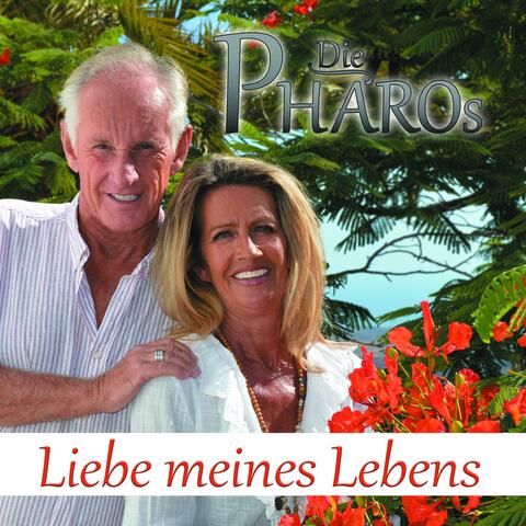 Liebe meines Lebens album art