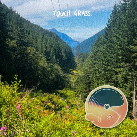 Touch Grass album art