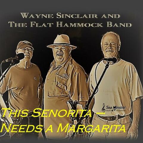 This Senorita Needs a Margarita album art