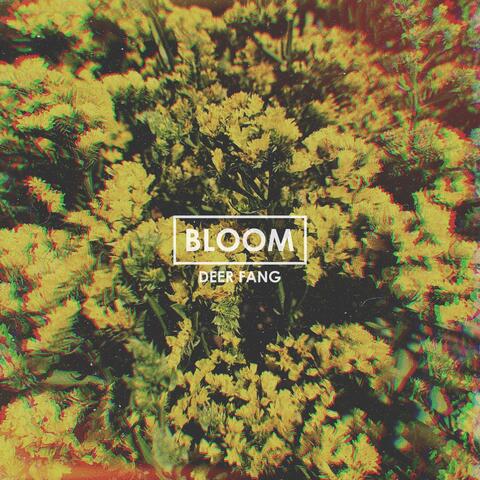 Bloom album art