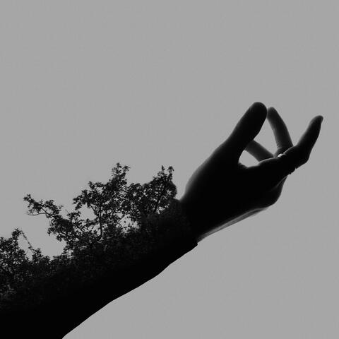 Fragility album art