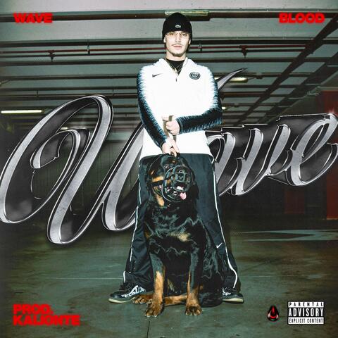 WAVE album art