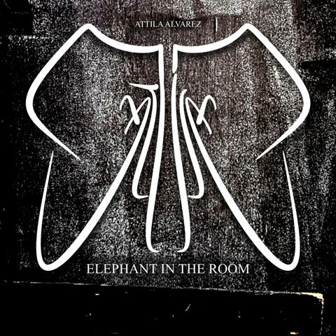 Elephant In The Room album art