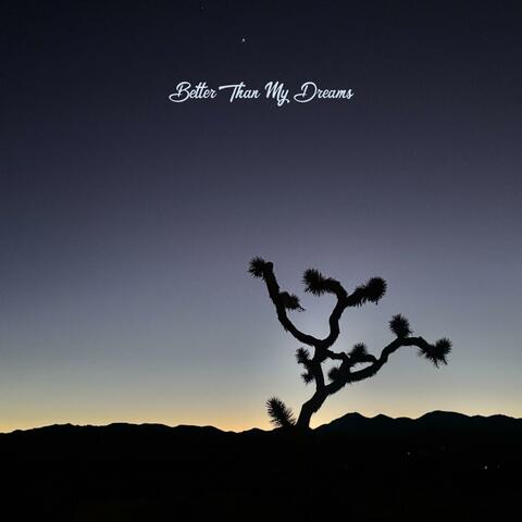 Better Than My Dreams album art