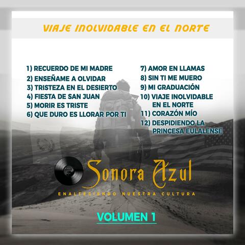 VIAJE INOLVIDABLE EN EL NORTE album art