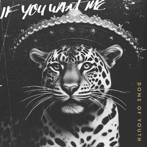 If You Want Me album art