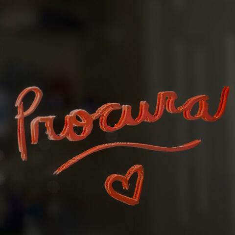 Procura album art