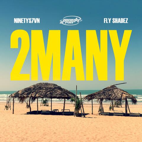 2 Many (feat. Fly Shadez) album art