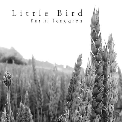 Little Bird album art