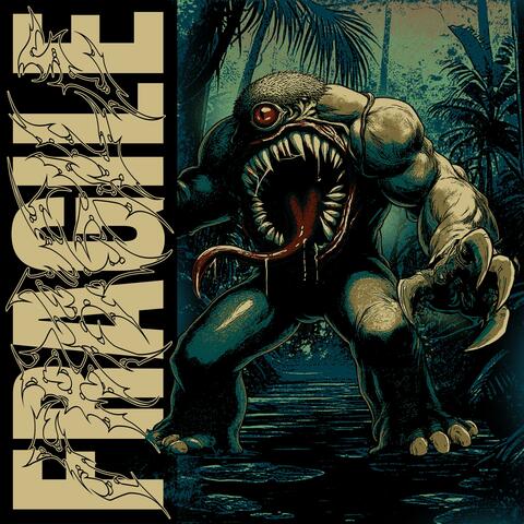 fragile album art