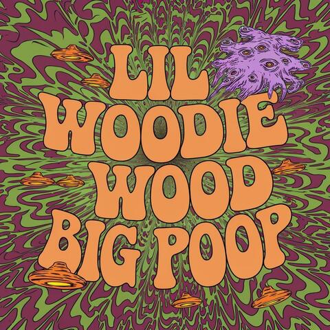 Big Poop album art