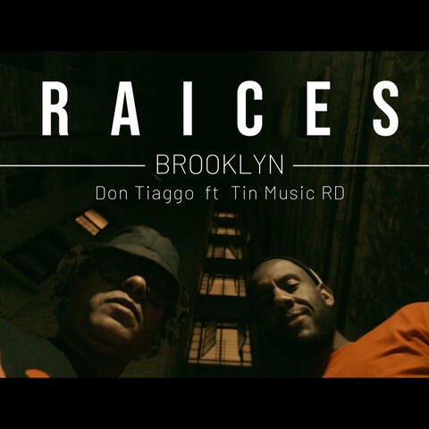 RAICES (feat. Tin Music RD) album art