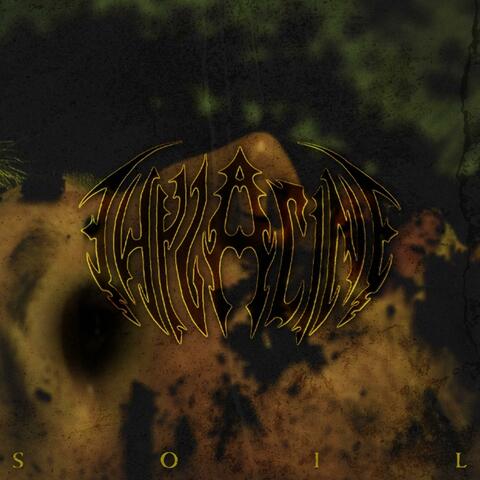 SOIL album art