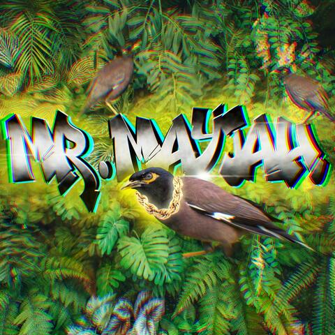 Mr Mayjah (feat. Big Sep) [REMIX] album art