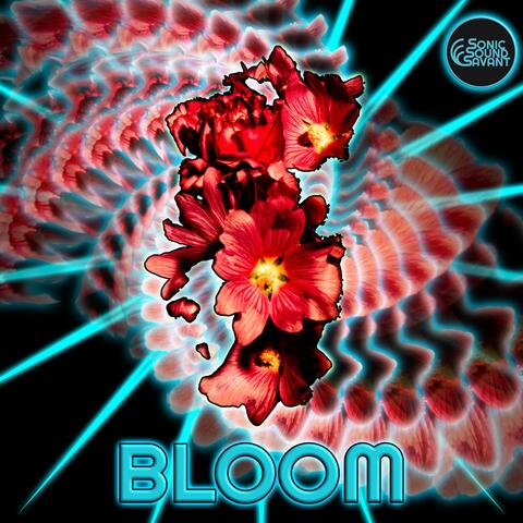 Bloom album art