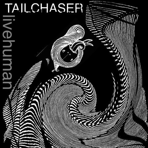 Tailchaser album art