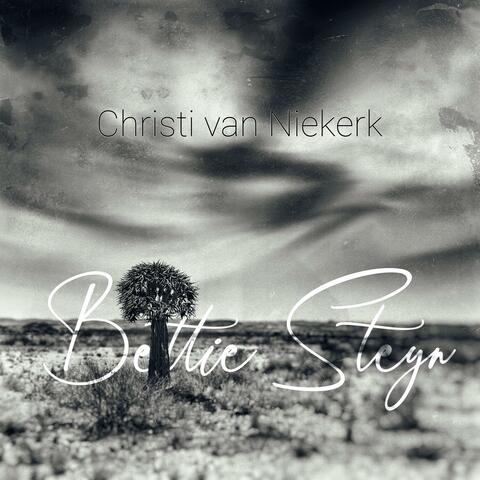 Bettie Steyn album art