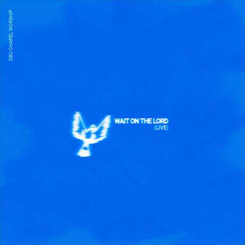 Wait on the Lord (Live) album art