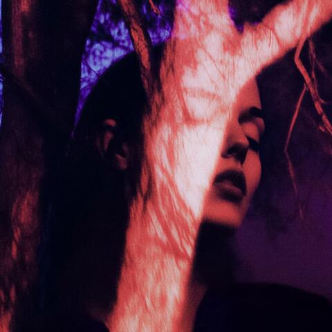 VEINS album art