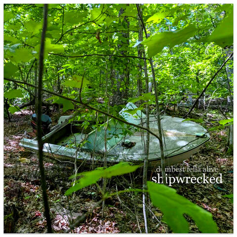 shipwrecked album art