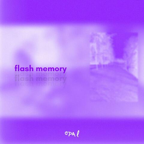 flash memory album art