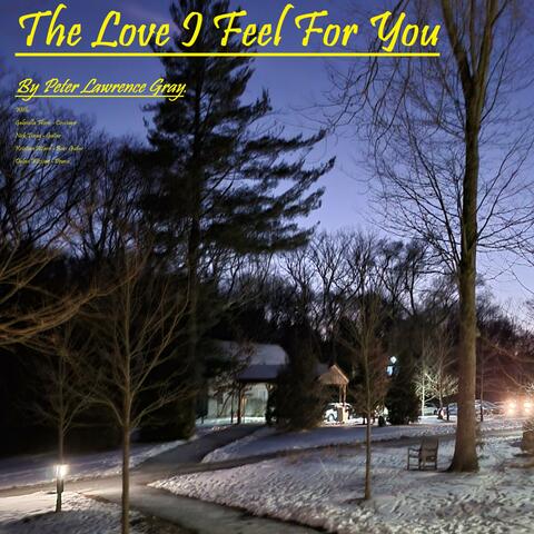 The Love I Feel For You (feat. Gabriela Flores) album art