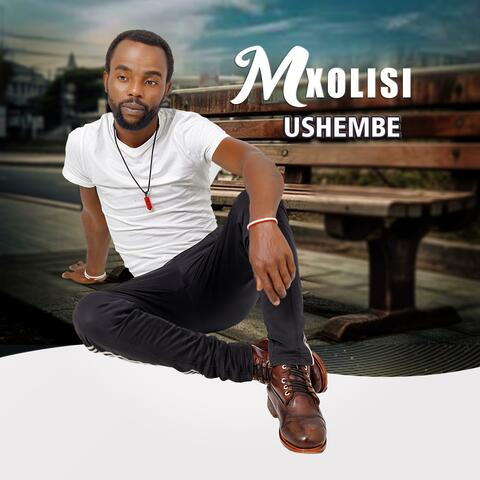 Ushembe album art
