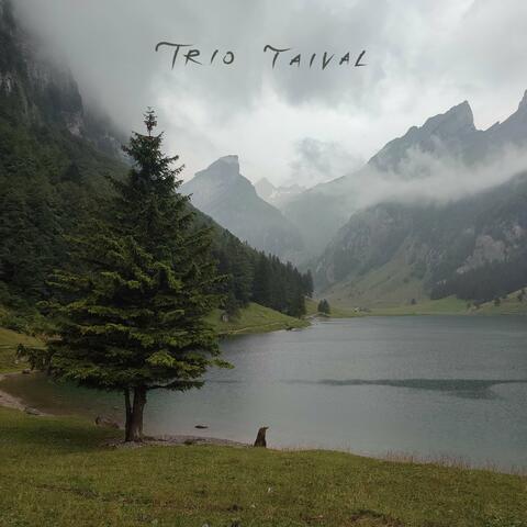 Trio Taival album art