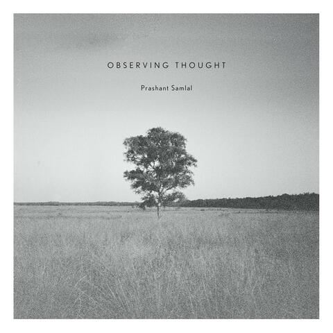 Observing Thought album art