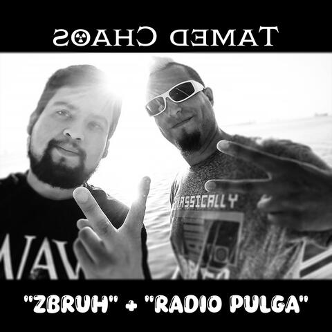 Tamed Chaos (feat. Radio Pulga) album art