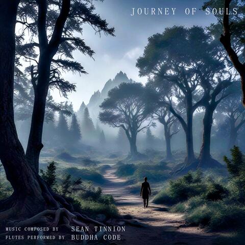 Journey of Souls album art