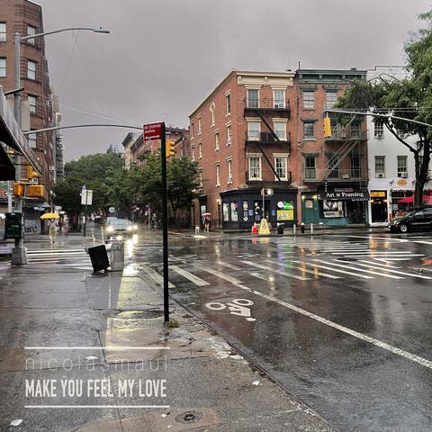 Make You Feel My Love album art