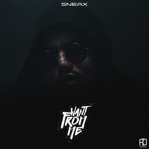 Want From Me album art