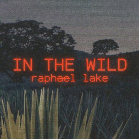 In The Wild album art