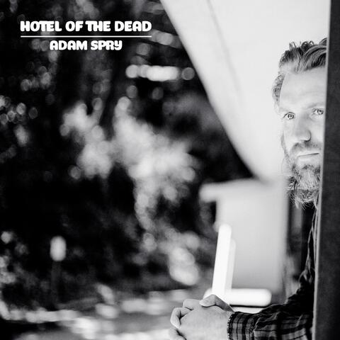 Hotel Of The Dead album art