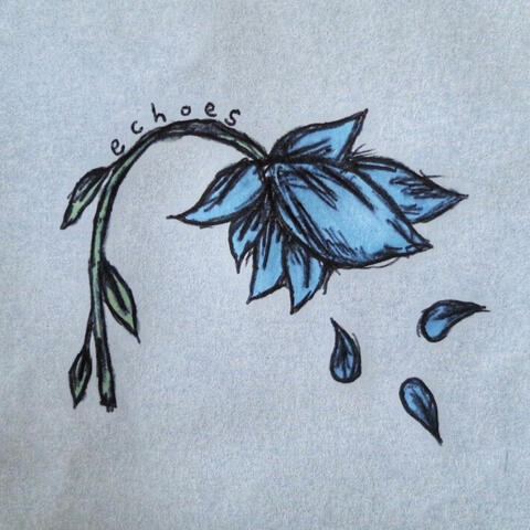 echoes album art