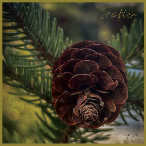 Softer album art