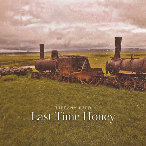 Last Time Honey album art