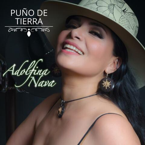 Puño de Tierra album art
