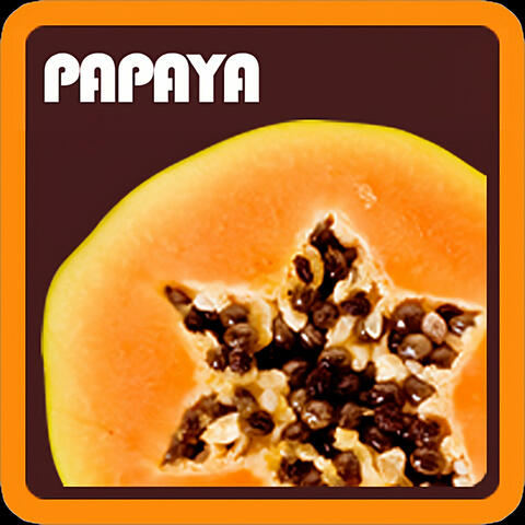 Papaya Vibe (Special Version) album art