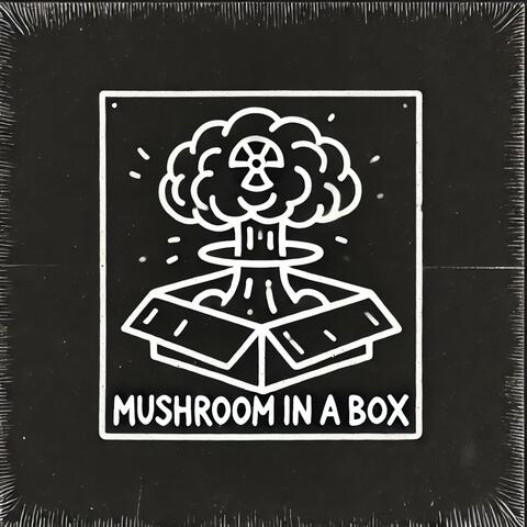 Mushrom in a Box album art